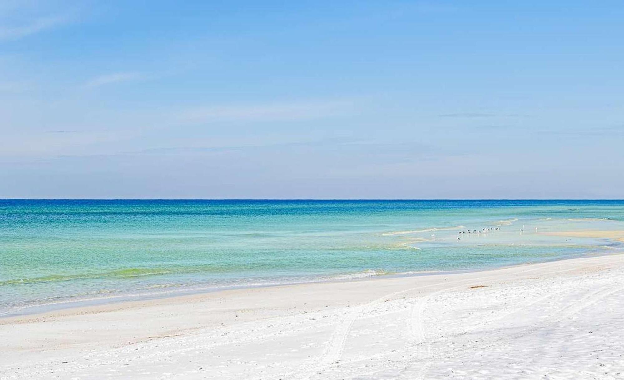 Majestic Beach Towers 1-1803 Panama City Beach Eksteriør billede